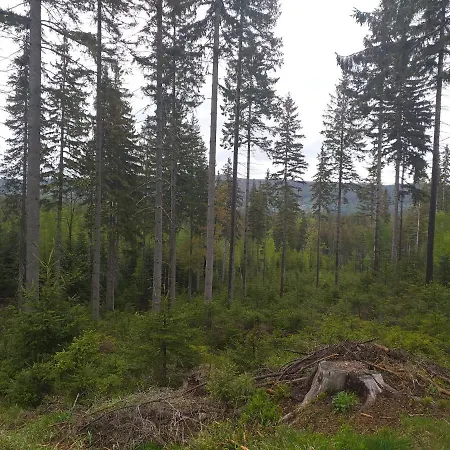 Przy Szlaku Schreiberhau