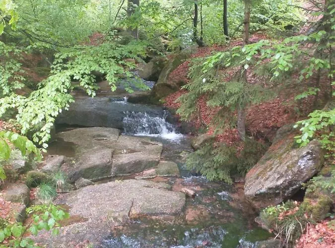 Apartment Przy Szlaku